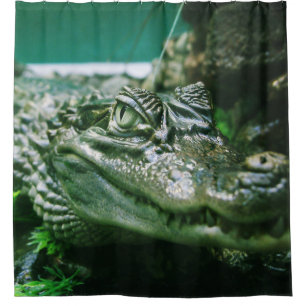 Alligator Douchegordijn