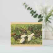  Alligator Egg Hatching in het Briefkaart van Flor (Staand voorkant)