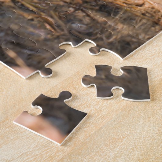 Alligator en Carrao vogel in de watergebieden van  Legpuzzel (Zijkant)