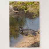 Alligator en Carrao vogel in de watergebieden van  Legpuzzel (Verticaal)