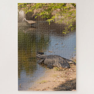 Alligator en Carrao vogel in de watergebieden van  Legpuzzel