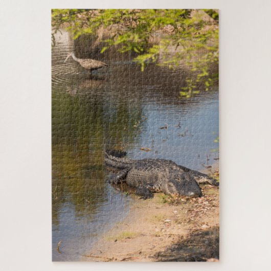 Alligator en Carrao vogel in de watergebieden van  Legpuzzel (Verticaal)