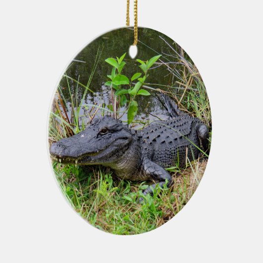 Alligator- en roseatlepel keramisch ornament (Rechts)