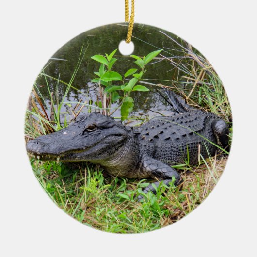 Alligator- en roseatlepel keramisch ornament (Voorkant)