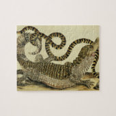 Alligator en slang, 1730 (gekleurd) legpuzzel (Horizontaal)