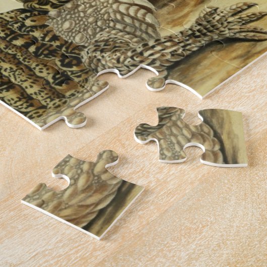 Alligator en slang, 1730 (gekleurd) legpuzzel (Zijkant)