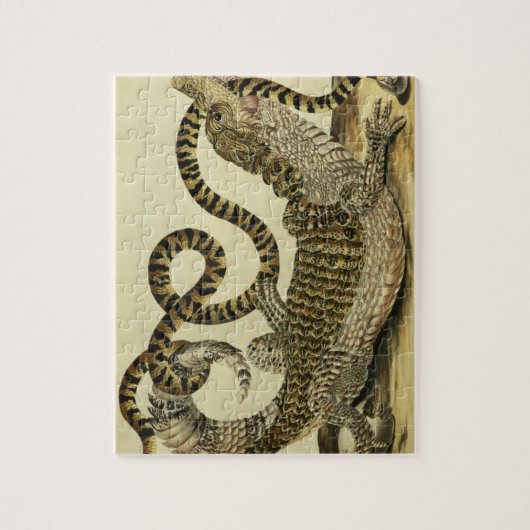 Alligator en slang, 1730 (gekleurd) legpuzzel (Verticaal)