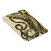 Alligator en slang, 1730 (gekleurd) magneet (Rechterzijde)