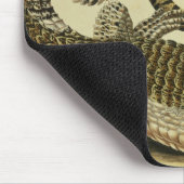 Alligator en slang, 1730 (gekleurd) muismat (Hoek)