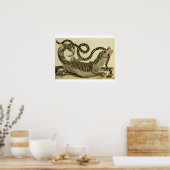 Alligator en slang, 1730 (gekleurd) poster (Keuken)