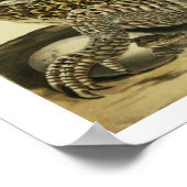 Alligator en slang, 1730 (gekleurd) poster (Hoek)