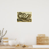 Alligator en slang, 1730 (gekleurd) poster (Keuken)