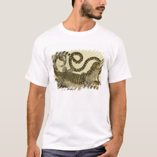 Alligator en slang, 1730 (gekleurd) t-shirt