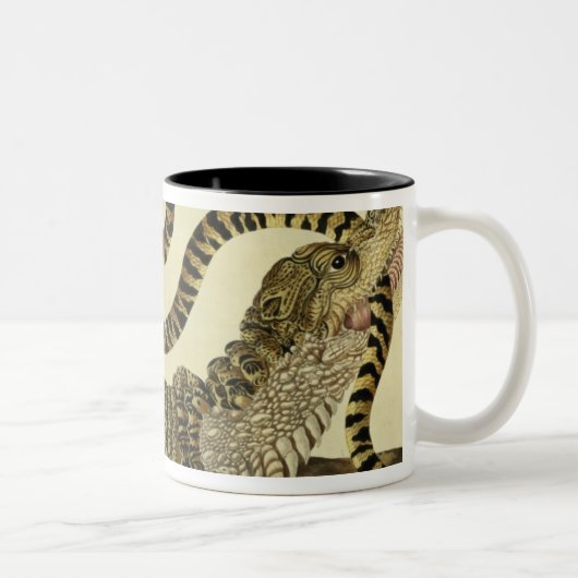 Alligator en slang, 1730 (gekleurd) tweekleurige koffiemok (Rechts)