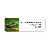 Alligator Etiket (Voorkant)