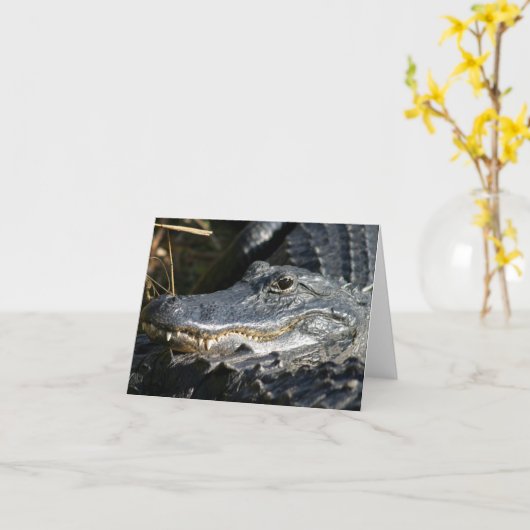 Alligator, Everglades Blank Notecard Kaart (Gele Bloem)