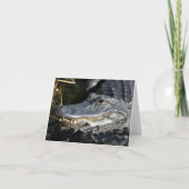 Alligator, Everglades Blank Notecard Kaart (Voorkant)