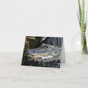 Alligator, Everglades Blank Notecard Kaart