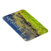 Alligator, Everglades National Park, Florida Magneet (Rechterzijde)