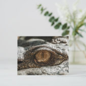 ALLIGATOR EYE CLOSE-UP BRIEFKAART (Staand voorkant)