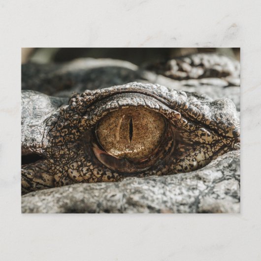 ALLIGATOR EYE CLOSE-UP BRIEFKAART (Voorkant)