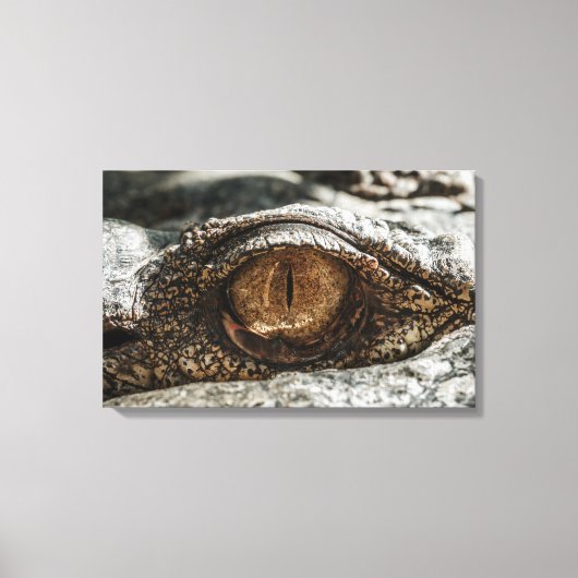 ALLIGATOR EYE CLOSE-UP CANVAS AFDRUK (Voorkant)
