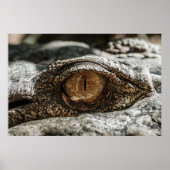 ALLIGATOR EYE POSTER (Voorkant)