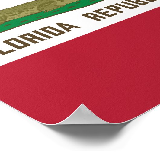 Alligator Flag Crocodile Florida Poster (Hoek)