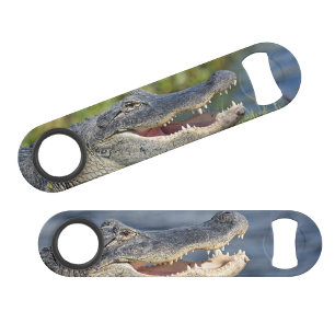 Alligator Florida Everglades Wildlife Fun Foto Speed Flessenopener
