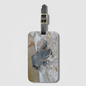 Alligator, Fort Lauderdale, Florida Bagagelabel (Voorkant (verticaal))