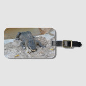 Alligator, Fort Lauderdale, Florida Bagagelabel (Voorkant (horizontaal))