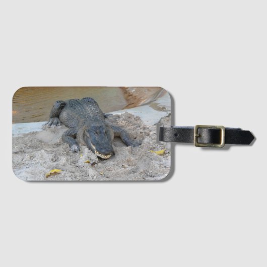 Alligator, Fort Lauderdale, Florida Bagagelabel (Voorkant (horizontaal))