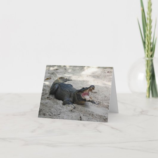 Alligator, Fort Lauderdale, Florida Bedankkaart (Voorkant)