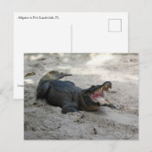 Alligator, Fort Lauderdale, Florida Briefkaart (Voorkant / Achterkant)