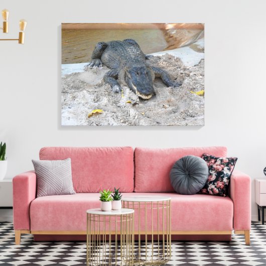Alligator, Fort Lauderdale, Florida Canvas Afdruk (Insitu (Woonkamer))