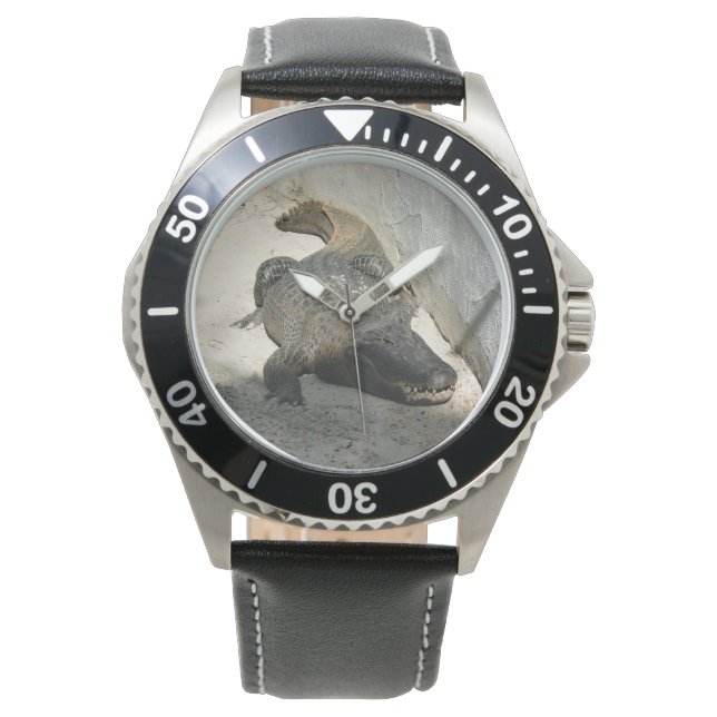 Alligator, Fort Lauderdale, Florida Horloge (Voorkant)