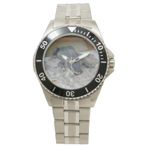 Alligator, Fort Lauderdale, Florida Horloge