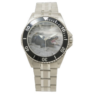 Alligator, Fort Lauderdale, Florida Horloge