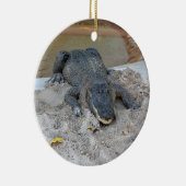 Alligator, Fort Lauderdale, Florida Keramisch Ornament (Rechts)