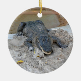 Alligator, Fort Lauderdale, Florida Keramisch Ornament