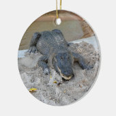 Alligator, Fort Lauderdale, Florida Keramisch Ornament (Links)