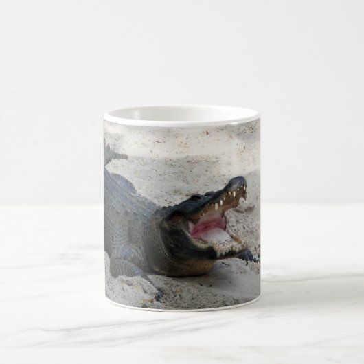 Alligator, Fort Lauderdale, Florida Koffiemok (Center)