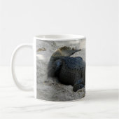 Alligator, Fort Lauderdale, Florida Koffiemok (Links)