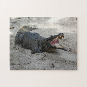 Alligator, Fort Lauderdale, Florida Legpuzzel