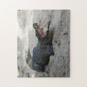 Alligator, Fort Lauderdale, Florida Legpuzzel (Verticaal)