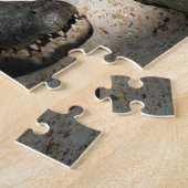 Alligator, Fort Lauderdale, Florida Legpuzzel (Zijkant)