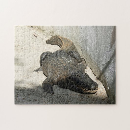Alligator, Fort Lauderdale, Florida Legpuzzel (Horizontaal)
