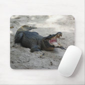 Alligator, Fort Lauderdale, Florida Muismat (Met muis)