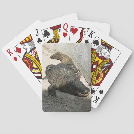 Alligator, Fort Lauderdale, Florida Pokerkaarten (Achterkant)
