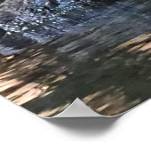 Alligator Foto Poster (Hoek)